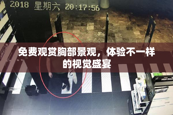 免费观赏胸部景观，体验不一样的视觉盛宴