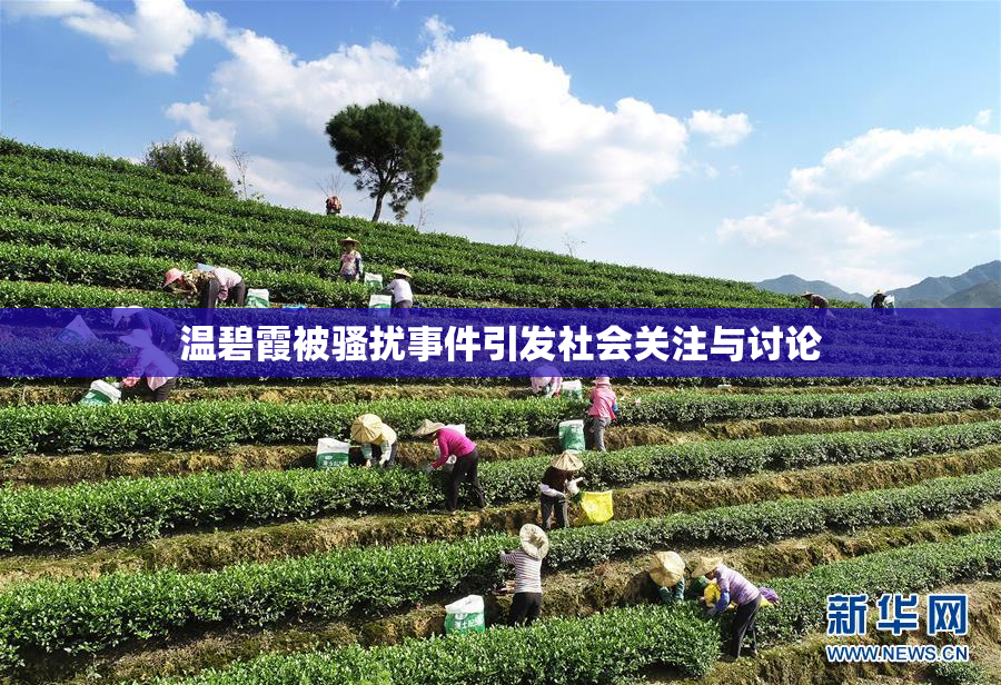 温碧霞被骚扰事件引发社会关注与讨论