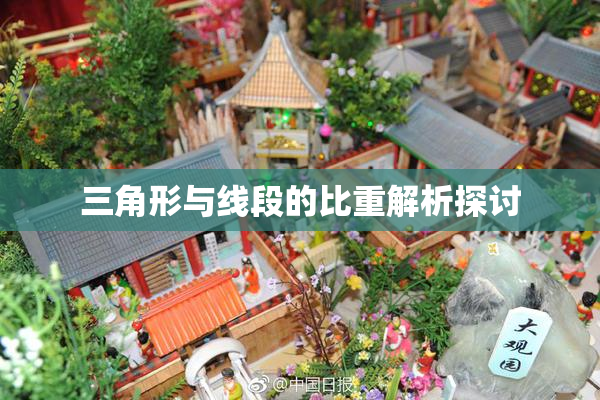 三角形与线段的比重解析探讨