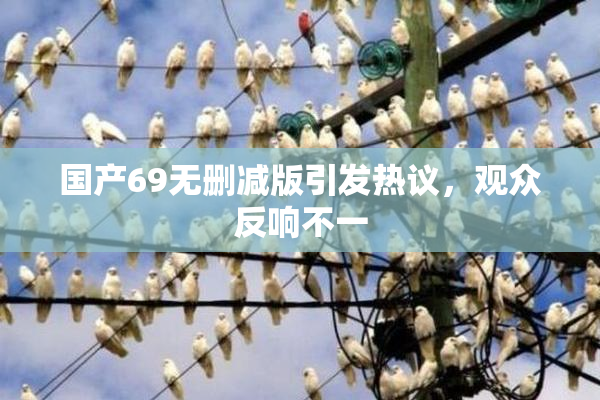 国产69无删减版引发热议，观众反响不一