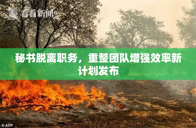 秘书脱离职务，重整团队增强效率新计划发布