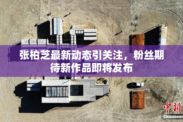 张柏芝最新动态引关注，粉丝期待新作品即将发布