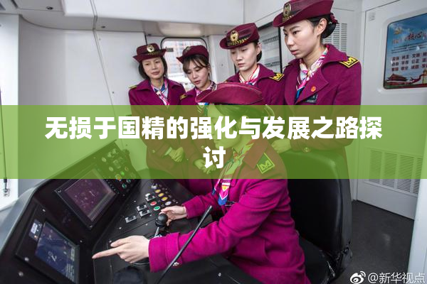 无损于国精的强化与发展之路探讨