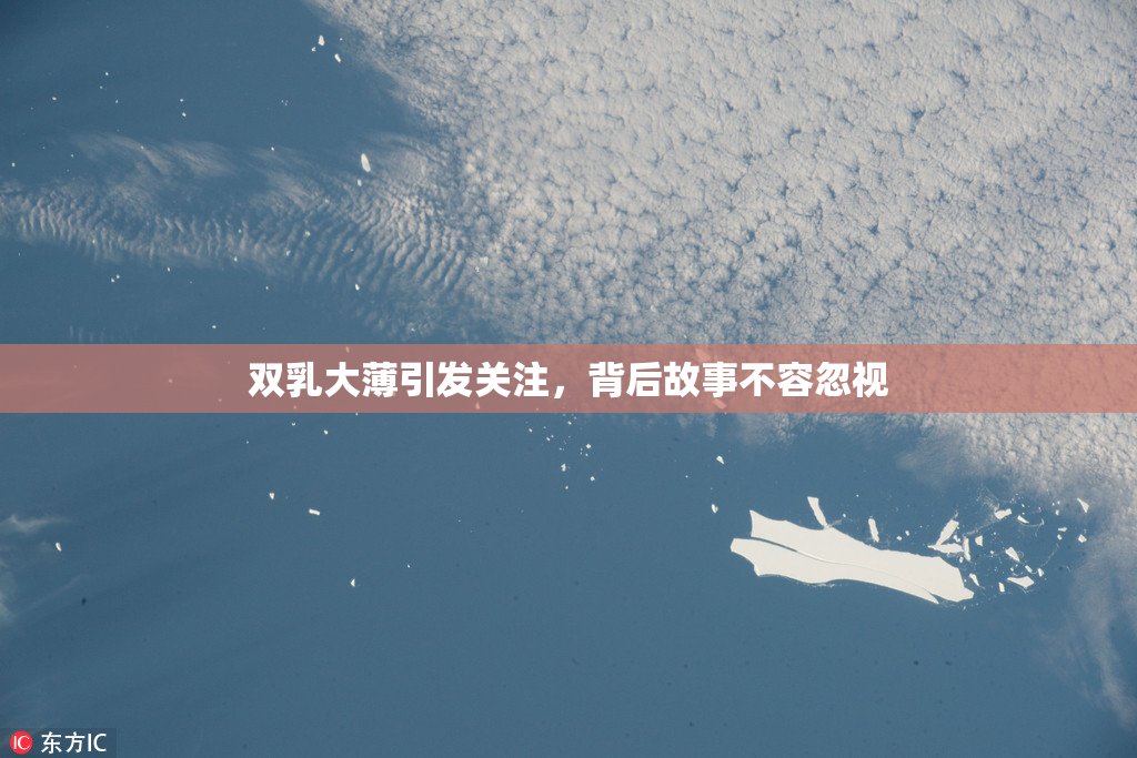 双乳大薄引发关注，背后故事不容忽视