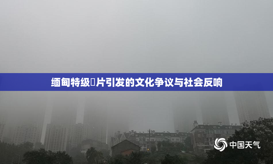 缅甸特级婬片引发的文化争议与社会反响