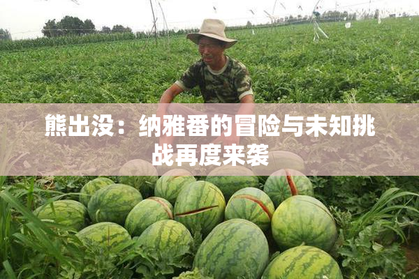 熊出没：纳雅番的冒险与未知挑战再度来袭