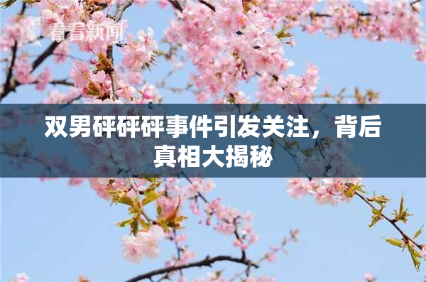 双男砰砰砰事件引发关注，背后真相大揭秘