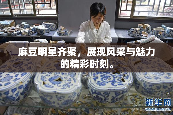 麻豆明星齐聚，展现风采与魅力的精彩时刻。