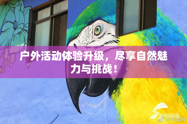 户外活动体验升级，尽享自然魅力与挑战！