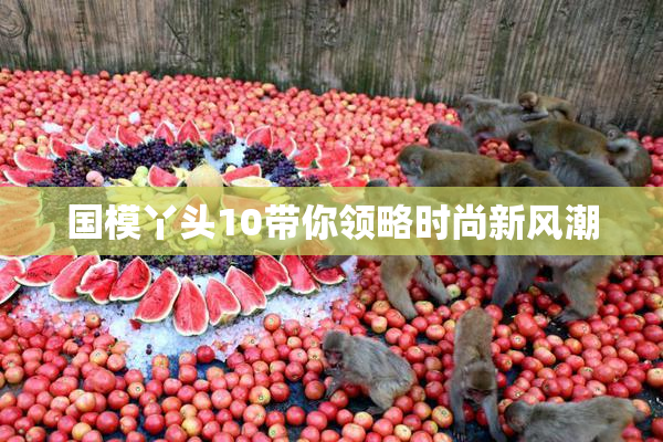 国模丫头10带你领略时尚新风潮