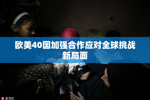 欧美40国加强合作应对全球挑战新局面