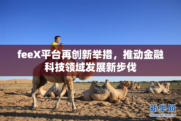 feeX平台再创新举措，推动金融科技领域发展新步伐