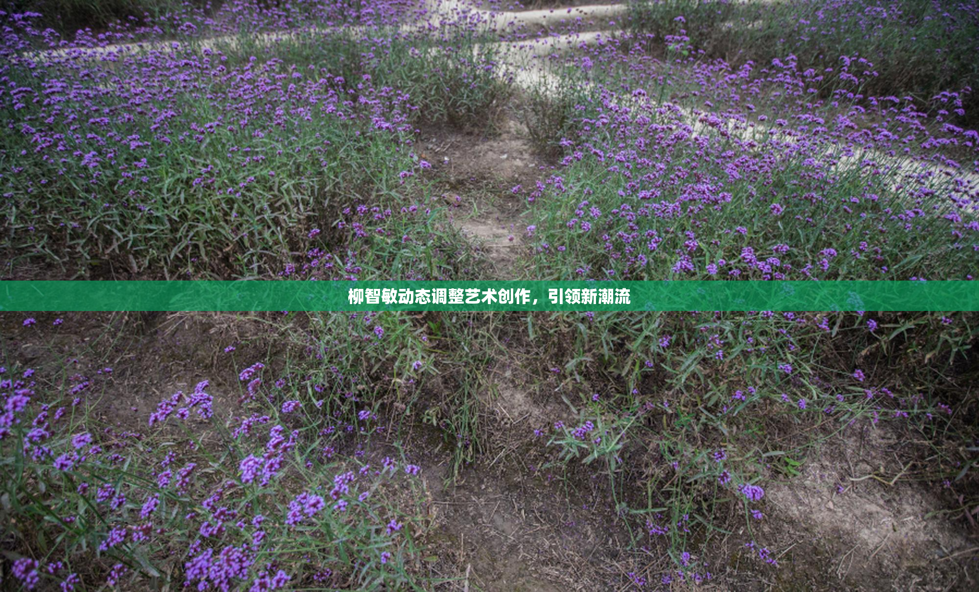 柳智敏动态调整艺术创作，引领新潮流