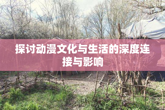 探讨动漫文化与生活的深度连接与影响