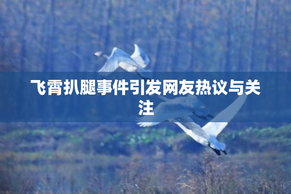 飞霄扒腿事件引发网友热议与关注