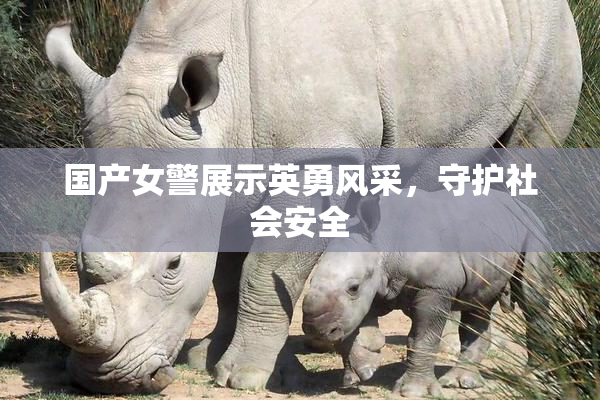 国产女警展示英勇风采，守护社会安全
