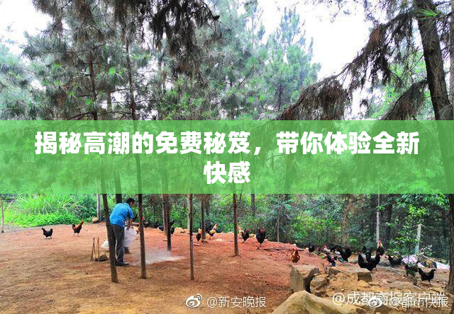 揭秘高潮的免费秘笈，带你体验全新快感