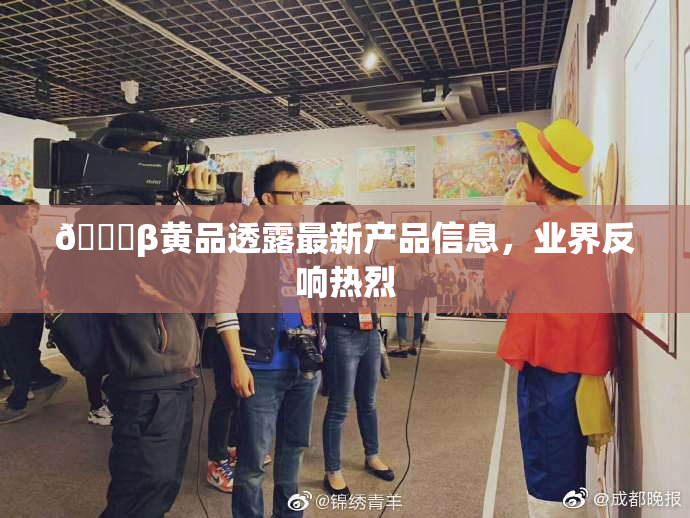 🔞β黄品透露最新产品信息，业界反响热烈