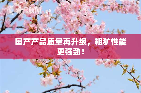 国产产品质量再升级，粗犷性能更强劲！