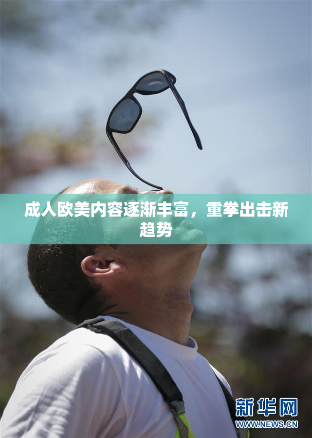 成人欧美内容逐渐丰富，重拳出击新趋势