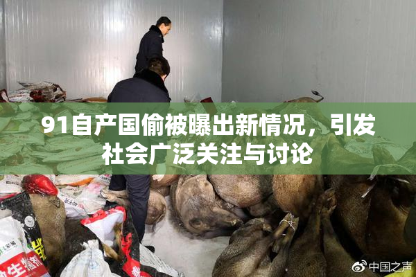 91自产国偷被曝出新情况，引发社会广泛关注与讨论