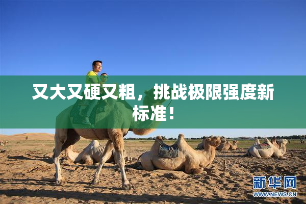 又大又硬又粗，挑战极限强度新标准！