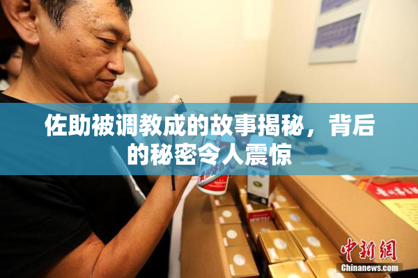 佐助被调教成的故事揭秘，背后的秘密令人震惊