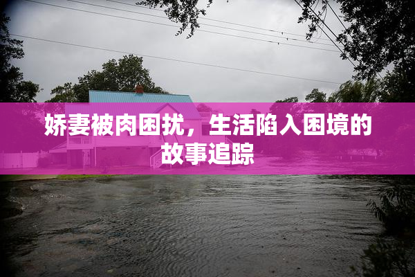 娇妻被肉困扰，生活陷入困境的故事追踪