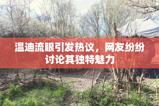 温迪流眼引发热议，网友纷纷讨论其独特魅力