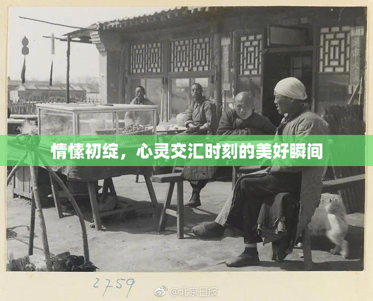 情愫初绽，心灵交汇时刻的美好瞬间