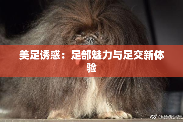 美足诱惑：足部魅力与足交新体验