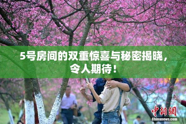 5号房间的双重惊喜与秘密揭晓，令人期待！