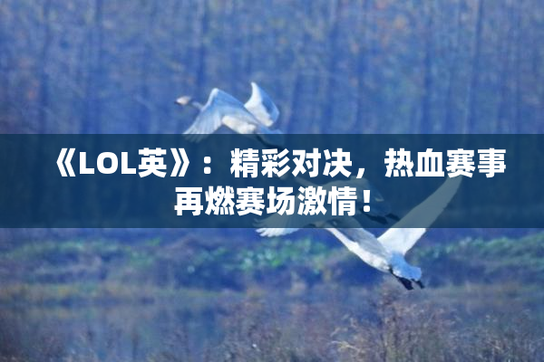 《LOL英》：精彩对决，热血赛事再燃赛场激情！