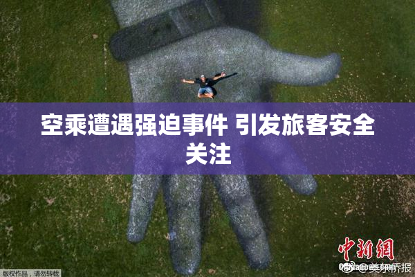 空乘遭遇强迫事件 引发旅客安全关注