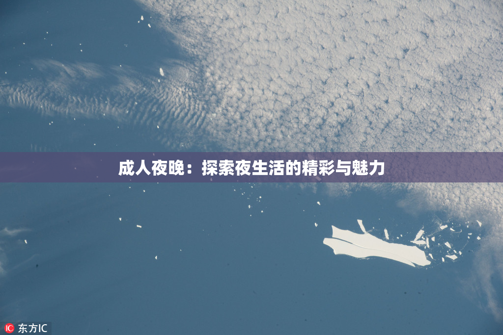 成人夜晚：探索夜生活的精彩与魅力