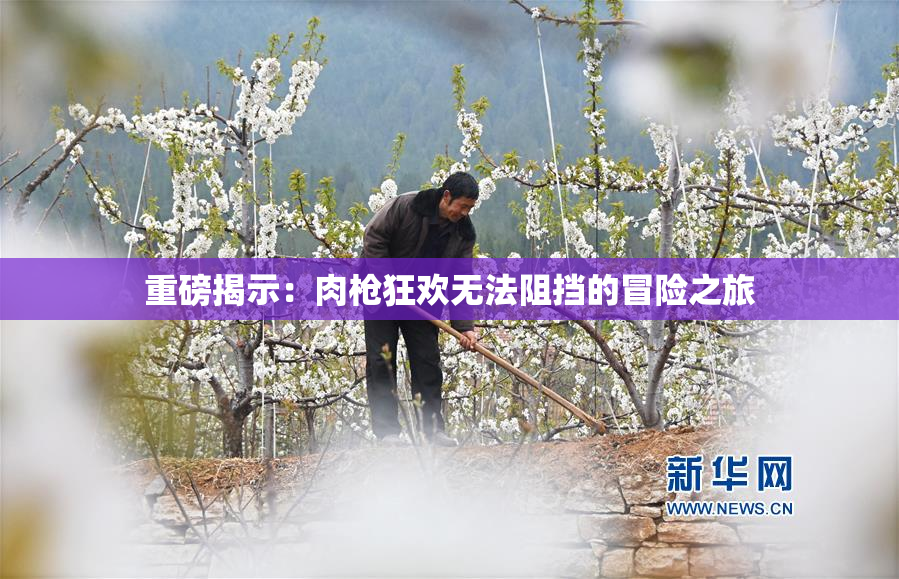 重磅揭示：肉枪狂欢无法阻挡的冒险之旅