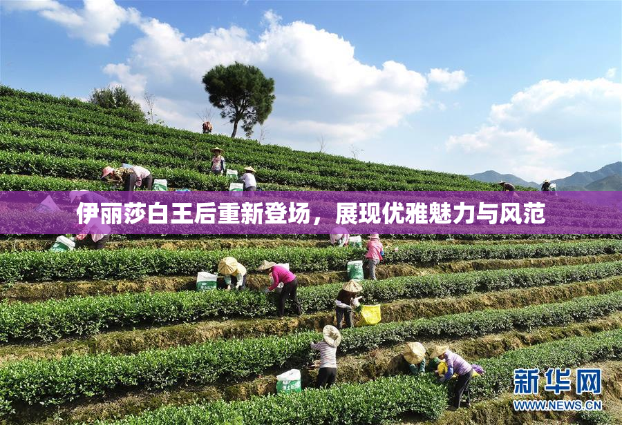 伊丽莎白王后重新登场，展现优雅魅力与风范