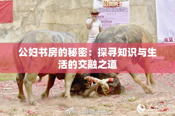 公妇书房的秘密：探寻知识与生活的交融之道