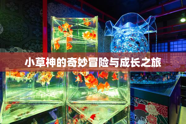 小草神的奇妙冒险与成长之旅