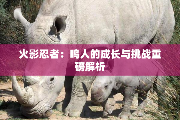 火影忍者：鸣人的成长与挑战重磅解析