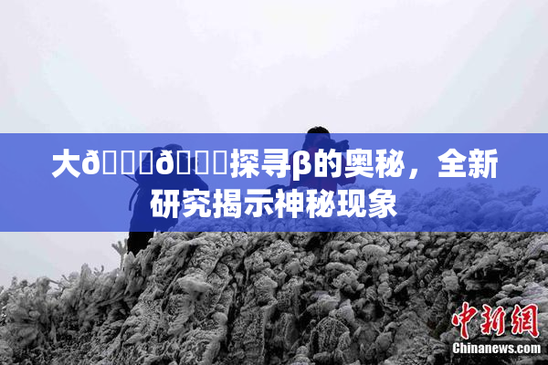 大🐔🐔探寻β的奥秘，全新研究揭示神秘现象