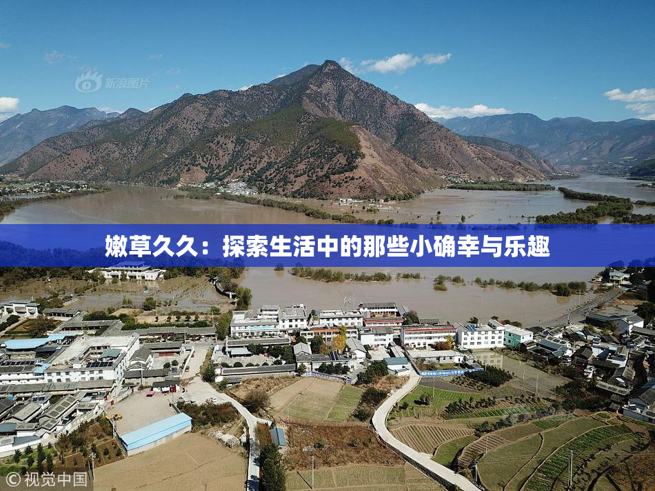 嫩草久久：探索生活中的那些小确幸与乐趣