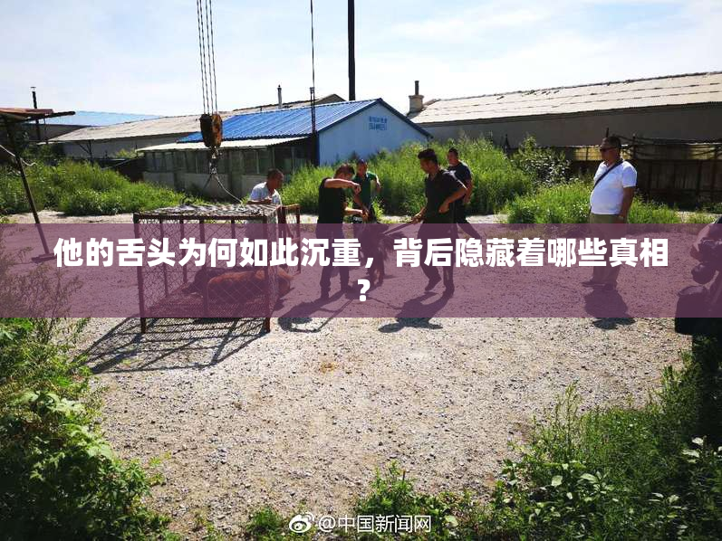他的舌头为何如此沉重，背后隐藏着哪些真相？