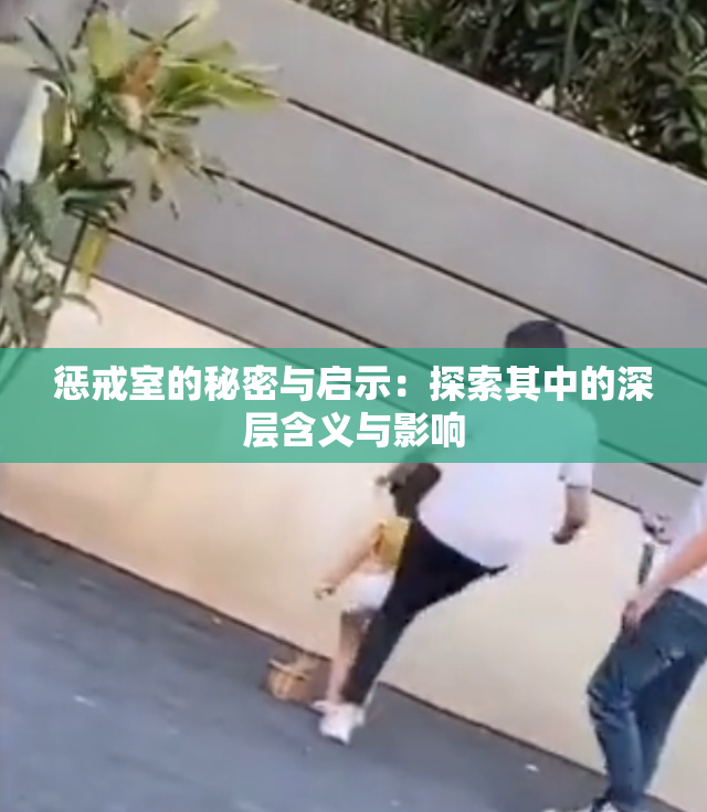 惩戒室的秘密与启示：探索其中的深层含义与影响