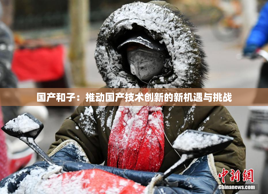 国产和子：推动国产技术创新的新机遇与挑战