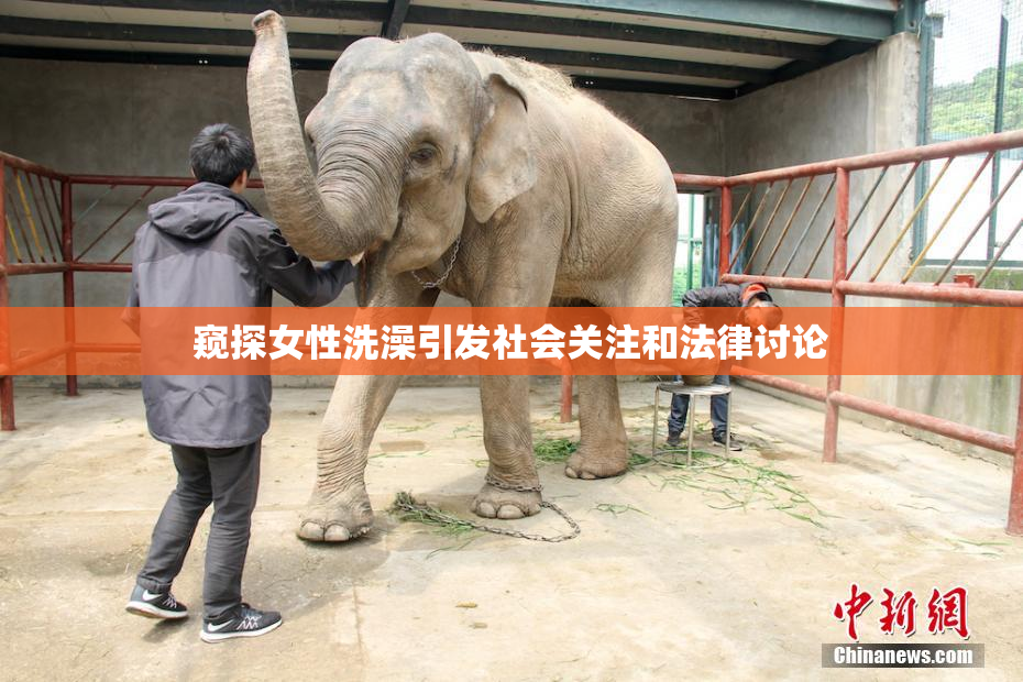 窥探女性洗澡引发社会关注和法律讨论