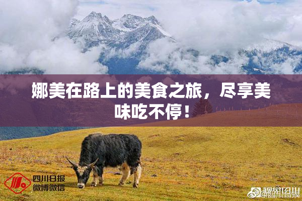 娜美在路上的美食之旅，尽享美味吃不停！