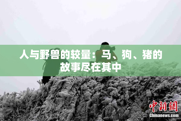人与野兽的较量：马、狗、猪的故事尽在其中