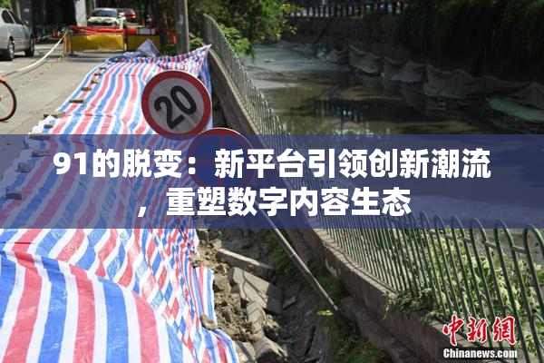 91的脱变：新平台引领创新潮流，重塑数字内容生态