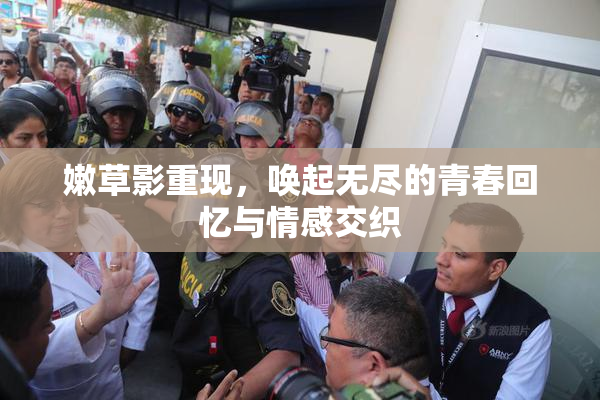 嫩草影重现，唤起无尽的青春回忆与情感交织